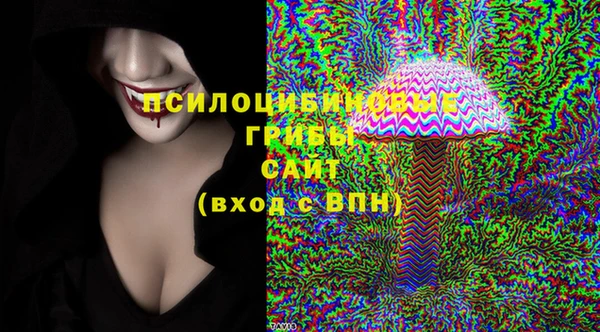 mdpv Михайловск
