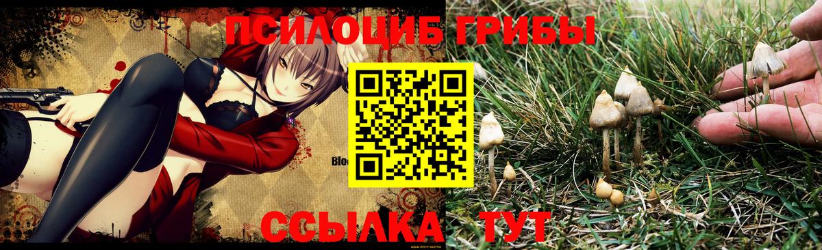 Галлюциногенные грибы прущие грибы  Добрянка  Галлюциногенные грибы мухоморы 